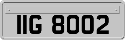 IIG8002