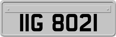 IIG8021
