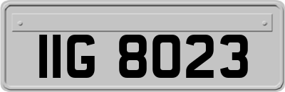 IIG8023