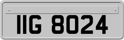 IIG8024
