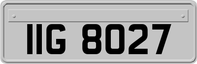 IIG8027