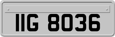 IIG8036