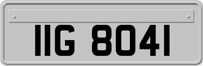 IIG8041