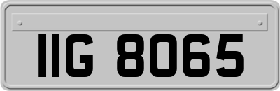 IIG8065