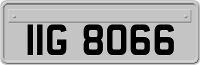 IIG8066