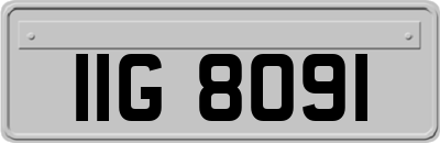 IIG8091