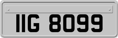 IIG8099