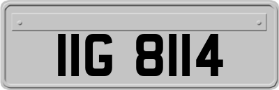 IIG8114