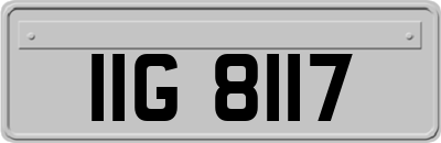 IIG8117