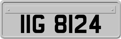 IIG8124