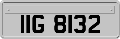 IIG8132