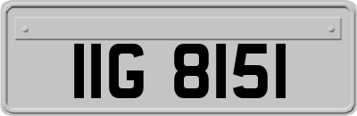 IIG8151