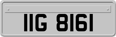 IIG8161
