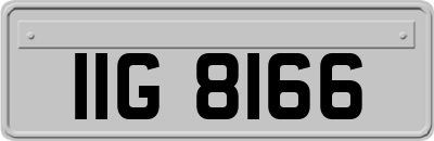 IIG8166