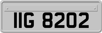 IIG8202