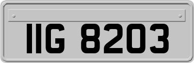 IIG8203