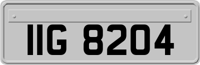 IIG8204