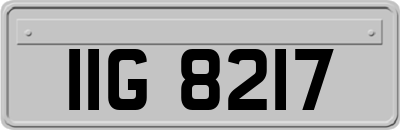 IIG8217