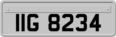 IIG8234
