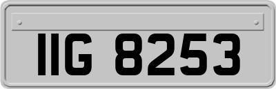 IIG8253