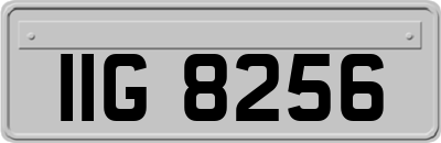 IIG8256