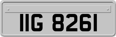 IIG8261