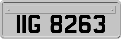 IIG8263