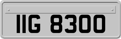 IIG8300