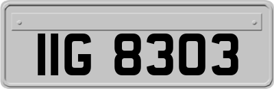IIG8303