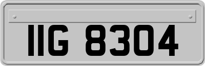 IIG8304