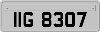 IIG8307