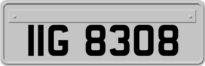 IIG8308