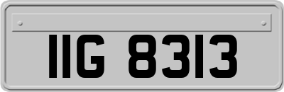 IIG8313