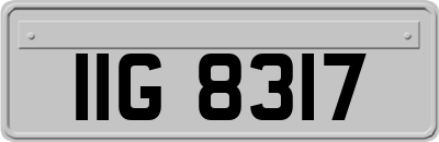 IIG8317