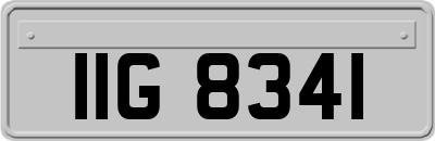 IIG8341
