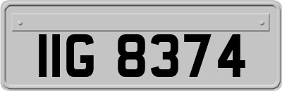 IIG8374