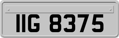IIG8375