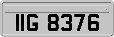 IIG8376