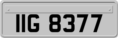 IIG8377