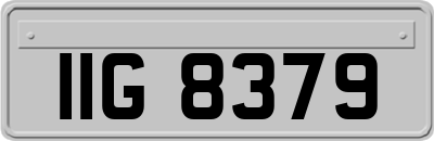 IIG8379