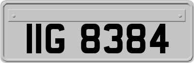 IIG8384