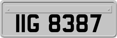 IIG8387