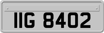 IIG8402