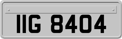 IIG8404