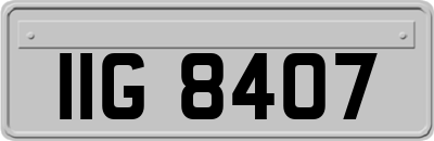 IIG8407