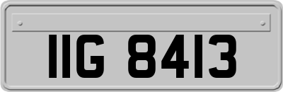 IIG8413
