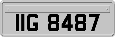 IIG8487