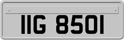 IIG8501