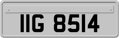 IIG8514