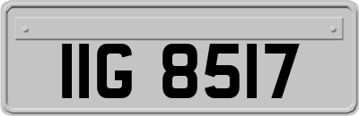 IIG8517